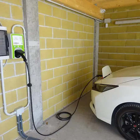 Silvio Guarnieri 펠트레